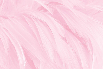 Light pink color bird feather pattern texture for background and design.