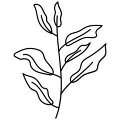 doodle botanical_abstract branch line icon