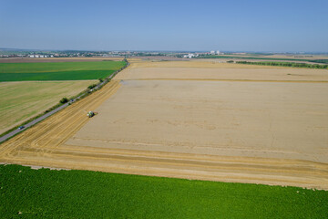 The combine harvests wheat on a golden field near the roadway. View from above.