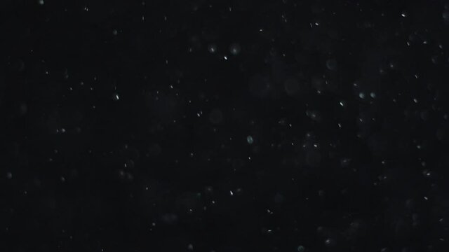 Bright particles in the air on a black background. Some of the particles are blurred in a beautiful bokeh.  4K video.