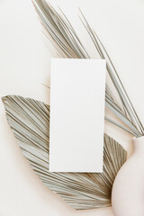 Minimal Summer stationery still life scene. Mock up with blank card and tropical palm leaf on beige...