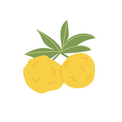 Ripe yuzu fruit. Cartoon illustration of a yellow fruit on a white isolated background. Hand-drawn organic food products. Sour citrus fruit from Asia. The concept of healthy eating.