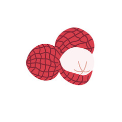 Ripe Litchi fruit. Cartoon illustration of an exotic fruit on a white isolated background. Chinese plum. Hand-drawn organic food. Tropical treats. The concept of healthy eating.
