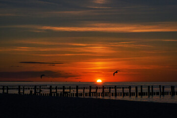 sunset in Zingst at the sea. red orange sun sets on the horizon. Seagulls circle in the sky