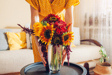 Woman puts vase with sunflowers and zinnia flowers on table. Housewife takes care of interior and...