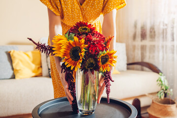 Woman puts vase with sunflowers and zinnia flowers on table. Housewife takes care of interior and fall decor at home.