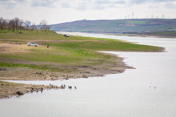 Located in the middle of the Istanbul Canal project, the Sazlibosna Dam route is on the transit route of herons and migratory birds in Istanbul, Turkey.