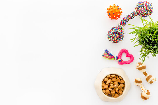 Dry pet food in bowl with toys and treats for dogs and cats