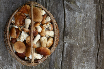 Fototapeta premium Boletus Edulis mushroom on old wooden surface