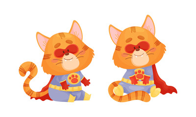 Ginger Whiskered Cat in Red Superhero Cloak Sitting and Smiling Vector Set