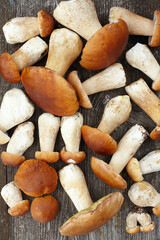 Boletus Edulis mushroom on old wooden surface