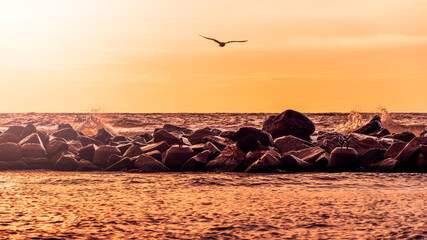 Waves smashing into the breakwater made of rocks in the evening sun. Bird flying over the...