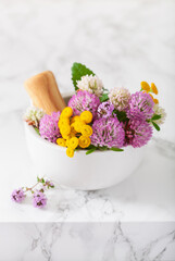 medical flowers herbs in mortar. alternative medicine. clover tansy thyme melissa