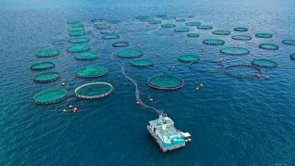 Aerial drone photo of latest technology auto feeding fish farming  - breeding unit of sea bass and...