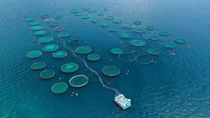 Foto op Canvas Aerial drone photo of large fish farming - breeding unit of sea bass and sea bream in huge round cages with latest technology automatic feeding system, calm deep sea of Anemokambi, Galaxidi, Greece © aerial-drone