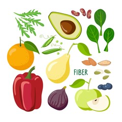 Food macronutrients. Rich in fiber food set. High fiber food for healthy nutrition and diet isolated on white background. Fruits, vegetables, nuts, greens. Nutrient complex diet vector infographic.