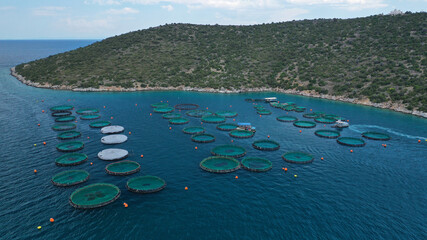 Aerial drone photo of large fish farming - breeding unit of sea bass and sea bream in huge round...