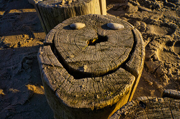 single groyne on the beach. at sunset light atmosphere