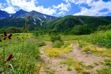 Landscape. Beautiful view of the Vachkazhets mountain range, a mountain meadow and a hiking trail that leads to the foot of an ancient volcano. Kamchatka Peninsula