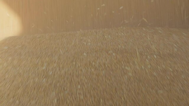 The grain is unloaded from the truck for storage in the elevator