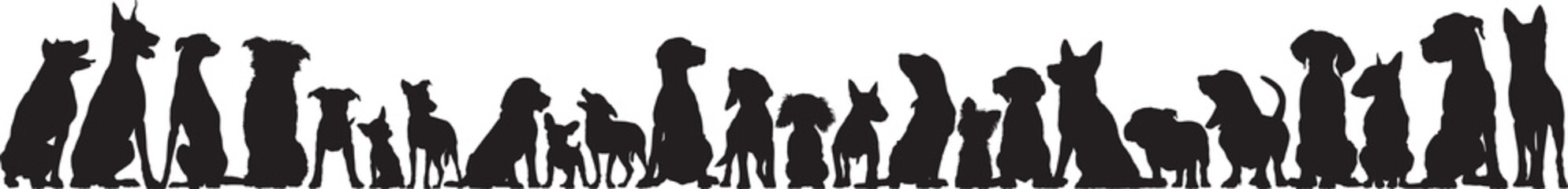 Front view of dogs group standing or sitting of different breeds vector silhouette collection - 455692063