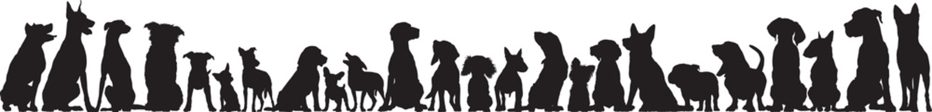 Front view of dogs group standing or sitting of different breeds vector silhouette collection