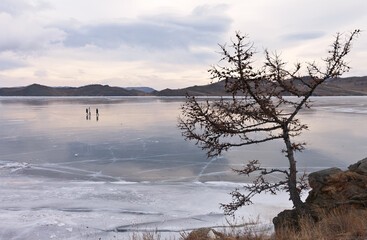 Baikal Lake in December sunset. View on the frozen Kurkut Bay. Tourists walk on surface of ice. Winter fun and travel during the Christmas holidays. Beautiful winter landscape. Natural background