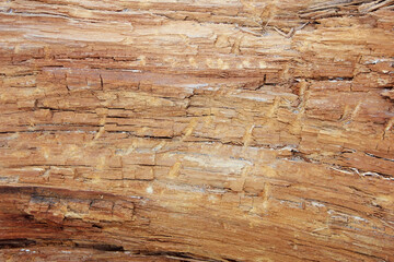 the texture of brown wood with veins and cracks