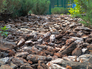 Mulch made of natural brown pine bark on a flowerbed in the park. Designer Mulching of flower beds with natural materials.