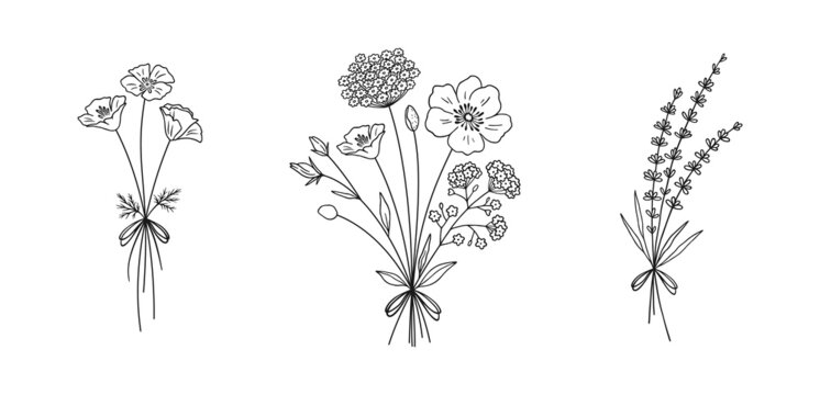 Simple Line Art Drawings of Flowers in Black and White Greeting Card for  Sale by Melody Watson  Redbubble