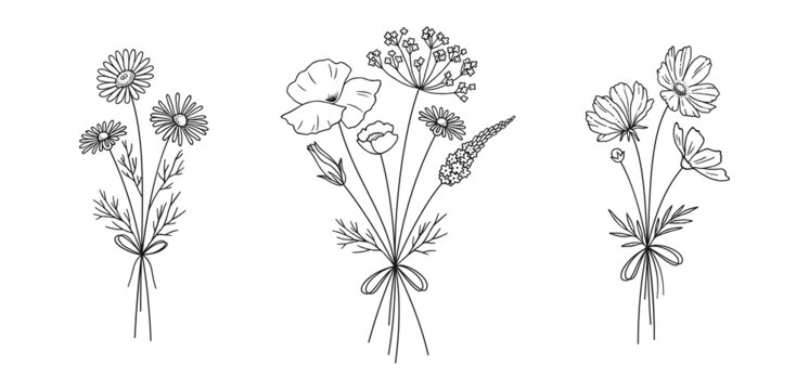 Wildflower Line Art Bouquets Set. Hand Drawn Chamomile, Cosmea, Poppy, Other Wild Plants. Meadow Flowers, Herbs For Design Projects. Vector Illustration.