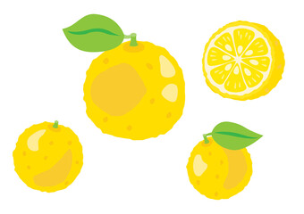 柚子のイラスト