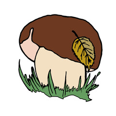 Hand drawn print of porcini or boletus mushroom with yellow leaves in its cap in doodle style