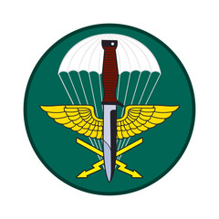 reconnaissance company emblem