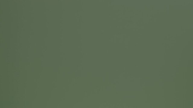 brush on green screen, v-log, 8 bit, 4:2:0, 4k, 3840x2160, 25 fps, h.264, panasonic lumix v log, 4k 100 mbps, without correction, chromakey, 