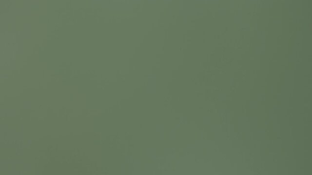 hand on green screen, v-log, 8 bit, 4:2:0, 4k, 3840x2160, 25 fps, h.264, panasonic lumix v log, 4k 100 mbps, without correction, chromakey 