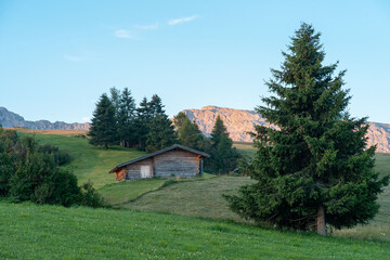 landscape scenic viewpoint of Alpe di Suisi , famous travel location Dolomite Alps, Italy