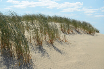 Fototapeta na wymiar dune, sable, plage