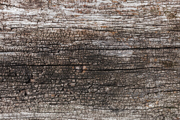 background in the form of a wooden aged gray surface with cracks