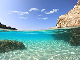 Fototapeta premium Underwater sea level split photo of beautiful paradise turquoise exotic island beach in Caribbean island destination