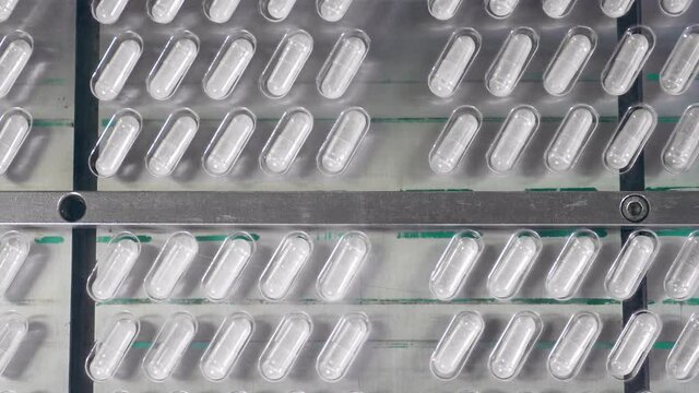 Top view of a conveyor with capsule pills packed into blisters