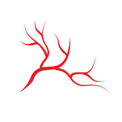 Human veins and arteries illustration design template