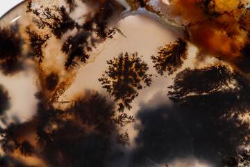 Macro mineral stone Moss Agate, Agata muschiataan