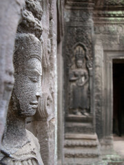 Ta Prohm, Siem Reap, Cambodia - originally a Buddhist temple built in the 12th century