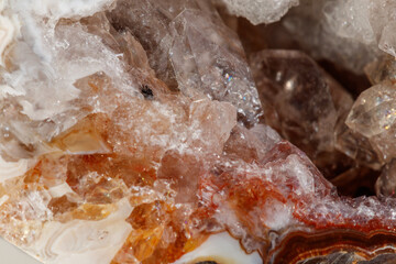 Macro mineral stone agate kidney gerbera on white background close up