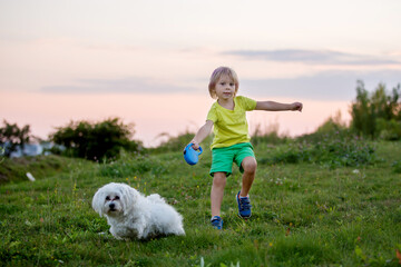 Cute preschool child, blond boy with pink stripes in his hair, taking pictures with his cute maltese dog in the park