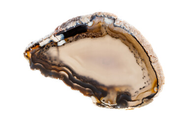 Macro mineral stone Yellow, brown Agate breed a white background