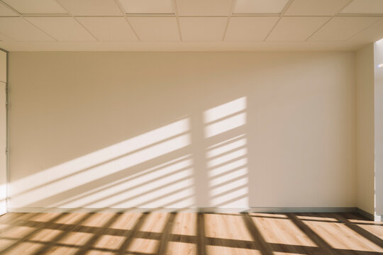 Empty office hall lit by sunlight