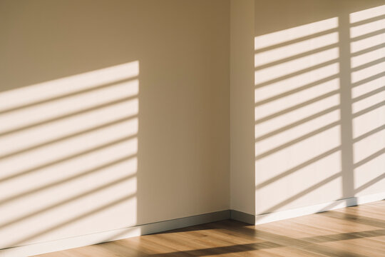 Empty office hall lit by sunlight