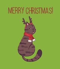 Christmas cat, Merry Christmas illustration of cute catwith accessories like a knited hat, sweater
